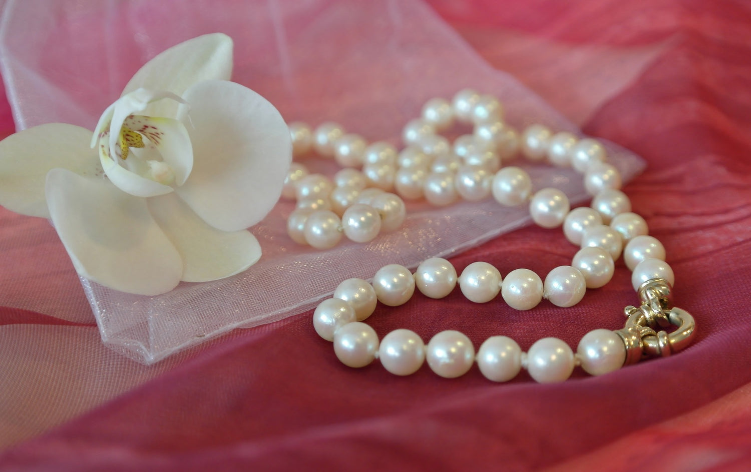 Pearl Collection